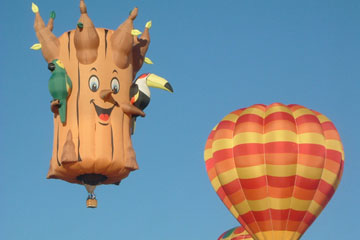 Albuquerque balloon festival 11