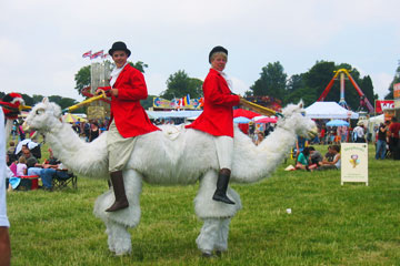 Cornbury music festival 7